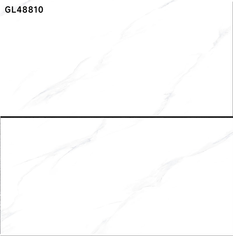 GL48810